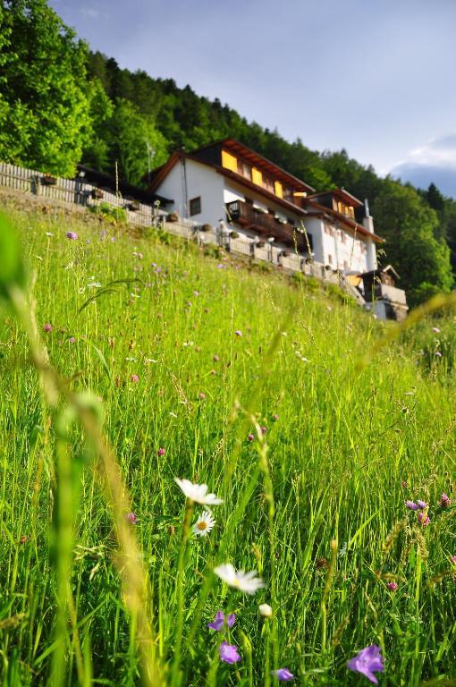 Hotel Bad St Isidor 2*